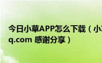 今日小草APP怎么下载（小草APP怎么下载 931151178 qq.com 感谢分享）