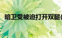 暗卫受被迫打开双腿(暗卫受被攻塞道具卫)