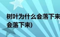 树叶为什么会落下来作文二年级(树叶为什么会落下来)