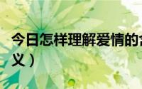 今日怎样理解爱情的含义（怎么理解爱情的定义）