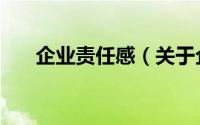 企业责任感（关于企业责任感的介绍）