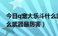 今日q宠大乐斗什么武器好（Q宠大乐斗中什么武器最厉害）