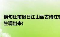 绝句杜甫迟日江山丽古诗注音(杜甫迟日江山丽全诗带拼音带生调出来)