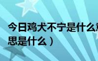 今日鸡犬不宁是什么意思解释（鸡犬不宁的意思是什么）