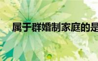 属于群婚制家庭的是(群婚制分为哪几种)