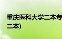 重庆医科大学二本专业怎么样(重庆医科大学二本)