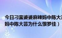 今日刁蛮婆婆麻辣妈中陈大芸为什么恨罗佳（刁蛮婆婆麻辣妈中陈大芸为什么恨罗佳）