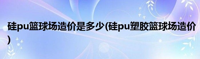 硅pu篮球场造价是多少(硅pu塑胶篮球场造价)