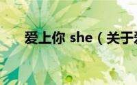 爱上你 she（关于爱上你 she的介绍）