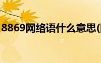 8869网络语什么意思(网络语799是什么意思)