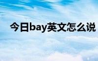 今日bay英文怎么说（bay英语什么意思）