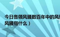 今日各领风骚数百年中的风骚指什么（各领风骚数百年中的风骚指什么）