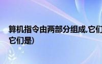 算机指令由两部分组成,它们是( )(计算机指令由两部分组成它们是)