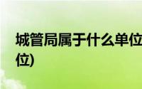 城管局属于什么单位行业(城管局属于什么单位)