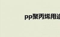 pp聚丙烯用途(聚丙烯用途)