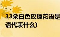 33朵白色玫瑰花语是什么意思(33朵白玫瑰花语代表什么)