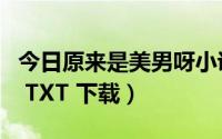 今日原来是美男呀小说免费阅读（原来是美男 TXT 下载）