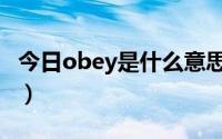 今日obey是什么意思英语（obey是什么意思）