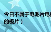 今日不属于电池片电极成分的是（什么是电池的极片）