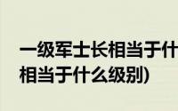 一级军士长相当于什么级别待遇(一级军士长相当于什么级别)