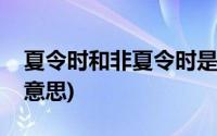 夏令时和非夏令时是什么意思(夏令时是什么意思)