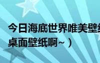 今日海底世界唯美壁纸（哪里有海底世界动态桌面壁纸啊~）