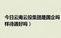 今日云南云投集团是国企吗（请问云南公投集团这单位怎么样待遇好吗）