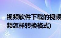 视频软件下载的视频怎么转换格式(下载的视频怎样转换格式)