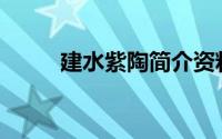 建水紫陶简介资料(建水紫陶简介)