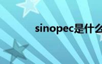 sinopec是什么意思(sinopec)