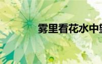 雾里看花水中望月(雾里看花)