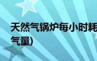 天然气锅炉每小时耗气量(燃气锅炉每小时耗气量)