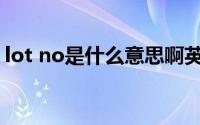 lot no是什么意思啊英语(lot no是什么意思)