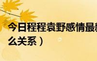 今日程程袁野感情最新情况（袁野和程程是什么关系）