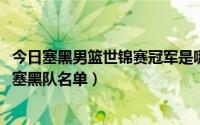 今日塞黑男篮世锦赛冠军是哪一届（2002年男篮世锦赛冠军塞黑队名单）