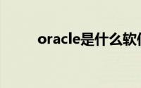 oracle是什么软件(oracle是什么)