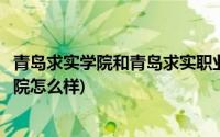 青岛求实学院和青岛求实职业技术学院(青岛求实职业技术学院怎么样)