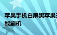 苹果手机白屏黑苹果开不了机怎么办刷机也不能刷机