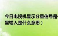 今日电视机显示分量信号是什么意思（电视机的信号源--分量输入是什么意思）