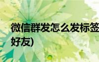 微信群发怎么发标签好友(微信如何群发标签好友)