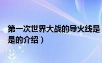 第一次世界大战的导火线是（关于第一次世界大战的导火线是的介绍）