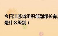 今日江苏省组织部副部长有几个（江苏省组织部干部处处长是什么级别）