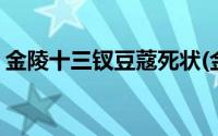 金陵十三钗豆蔻死状(金陵十三钗豆蔻惨死图)