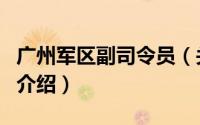 广州军区副司令员（关于广州军区副司令员的介绍）