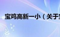 宝鸡高新一小（关于宝鸡高新一小的介绍）