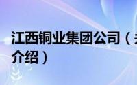 江西铜业集团公司（关于江西铜业集团公司的介绍）