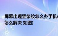 屏幕出现竖条纹怎么办手机(手机屏幕出现竖条纹 什么原因 怎么解决 如图)