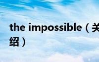 the impossible（关于the impossible的介绍）