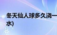 冬天仙人球多久浇一次水(仙人球多久浇一次水)