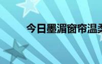 今日墨湄窗帘温柔分别是什么意思